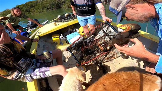 Catching mud crabs with our Scottish friends today. They were brave enough to hold the crabs… and even managed to keep all their fingers! | The Bay Today