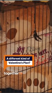 Love is in the air, but also a cage?? @AliceLevine explores modern love in all its unexpected forms—from AI romance to feedism (Google with caution !!) If you're looking to shake things up tonight, tune in to Sex Actually airs 9PM on Freeview 83 | Sky 170 | Virgin 136 or Freesat 162 or Watch Live #ValentinesDay #Love #Romance #WatchNow #Series | Together TV | Facebook