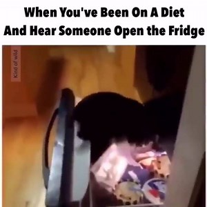 Lena Sledge on Reels