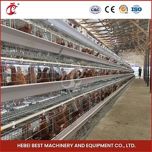 [Hot Item] Bestchickencage a Type Layer Cage China Waterproof Chicken Layer Coop Roof Manufacturing Wholesale Chicks Brooder Layer Cage Configuration Chicken Coop Feeders