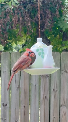 Iman Photography on Reels