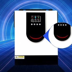 [Hot Item] Energy Storage System 1kw 12V Solar Hybrid Inverter with Integrated MPPT Control Sine Wave Power Inverters