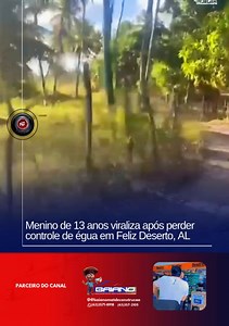 230K views · 2.4K reactions | Na tarde desta quinta-feira (11), um...