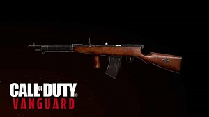 La mejor clase de Autómata en Vanguard: accesorios y ventajas