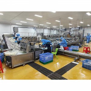 [Hot Item] High-Efficiency Quail Egg Peeler Machine with PLC Control and Video Inspection