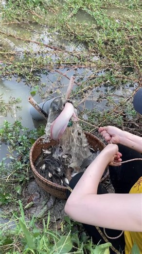 Unbelievable oil fishing technique with an unique survival skills 😱 #fishing | Classic Cartoons