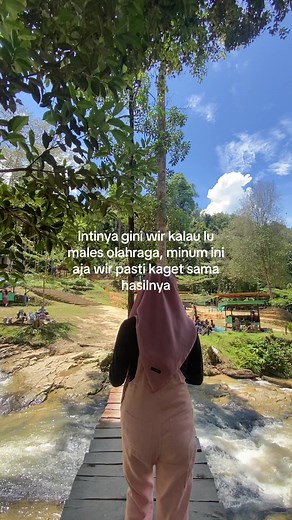 Exploring Nature: Scenic Walk on a Wooden Bridge