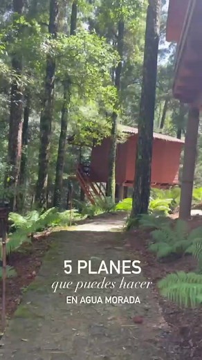 5 planes que puedes hacer en Agua Morada Hotel y Restaurante | Agua Morada Hotel y Restaurante