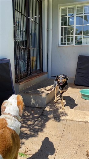 4.5K views · 108 reactions | By now you all now the sad and soppy...