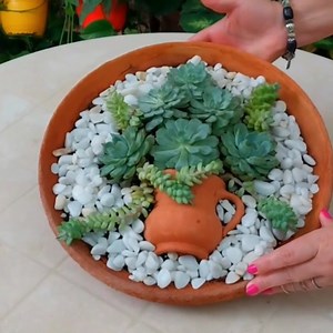 200K views · 7.2K reactions | Creating a Succulent Miniature Garden #succulents #succulentsofinstagram #succulentlove #succulentgarden #succulentaddict #succulents #garden #gardens #gardening #gardenlife #gardendesign #gardeninspiration #Amazing #video #virals #plants #plantsofinstagram #plantsmakepeoplehappy #plantsmakepeoplehappy #plantslover #plants #beautiful #beauty #art #art #home #nature #viral #foryou #homedecor | Decor & Beauty | Facebook