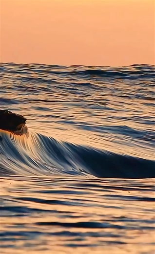🚢 NEXT SATURDAY…Tina Assanti Books invites you to join us for an exciting evening as we celebrate the launch of “Argentine Riptide,” a gripping tale of military coups, Nazi intrigues, and the captivating life of Eva Peron, all based on true events. This remarkable work is penned by Brighton’s very own Liesje Wagner. . The event will be co-hosted by the Lighthouse Bookstore and will take place on May 3, 2025, from 5 PM to 7 PM at the Royal Canadian Legion, Brighton Branch 100. . Come savor the d