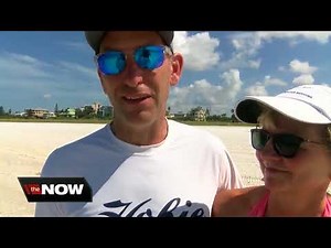 Dozens of sick sea turtles after red tide hits Siesta Key