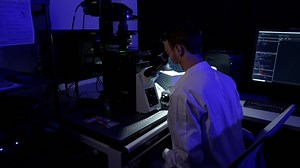 Analyzing Astrocyte Morphology in Mouse Brain - JoVE Journal