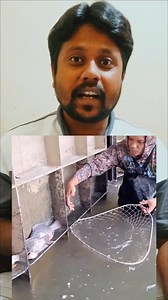 3.1M views · 10K reactions | Fish Pani se Nikal kar uper baitha hai #fbreels #reelsfacebook #reel | Shahjad explain | Facebook