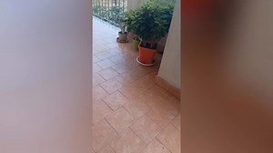 Mount Etna volcano spews lava in renewed eruption in Italy