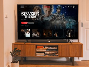 Netflix Landing Page - Indylogix Solutions