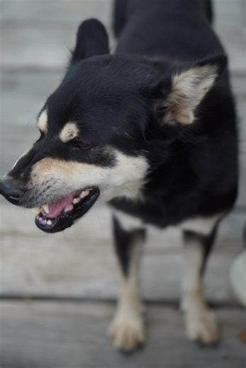 Neopark Neopark บน TikTok