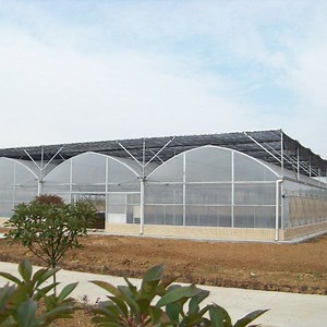 [Hot Item] Strawberry Greenhouse Pipe Bending Citrus Greenhouse Skeleton Pipe Pitaya Sizing Greenhouse Pipe