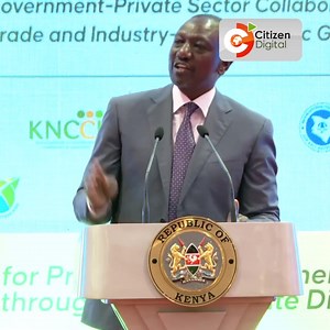 President Ruto praises Hustler Fund, says it has brought financial inclusion to many micro-SME operators. | HOT 96
