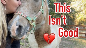 119K views · 10K reactions | Ima Survivor Donkey and Farm Animal Sanctuary on Reels | Facebook