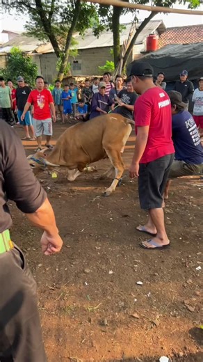 dr internet on TikTok