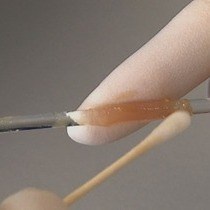 Video: Functional Assessment of Intestinal Motility and Gut Wall Inflammation in Rodents: Analyses in a Standardized Model of Intestinal Manipulation