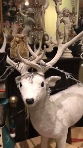 3.1K views · 64 reactions | Step in the Enchanted World of Fashion at...