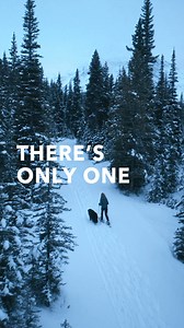 37K views · 213 reactions | Win winter. Explore the Grand Cherokee 4xe. | Jeep | Facebook