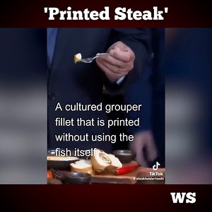 1.3K views · 60 reactions | The future 'beef factories'... Would you trust this printed meat? #TheFuture #PrintedMeat | Western Standard | Facebook