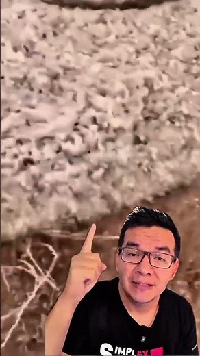 Sensational sand river