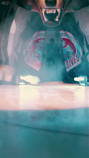 2.9K views · 35 reactions | #MississippiSeaWolvesHockey | Beer League BS | Facebook