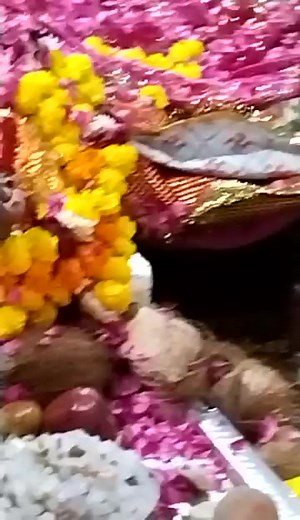 28 reactions | ॐ Baba Ramdev G Runicha जय द्ववारकानाथ जय...