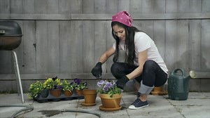 New Jersey Lottery - Garden