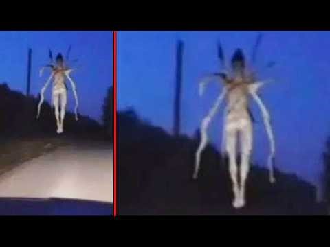 Terrifying Encounters Caught on Dashcams That Are Still Unsolved