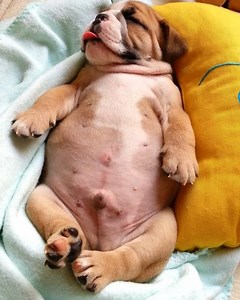 311K views · 12K reactions | Dreaming about fountains of milk  #tbt | jmarcoz | Facebook