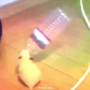 Action Packed Memes on Reels