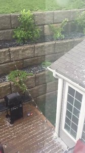 1.5K views · 44 reactions | Woah hail! | Amy Lutz | Facebook