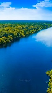 11K views · 427 reactions | facts about amazon rainforest #shorts #facts | সুপ্ত জ্ঞান | Facebook