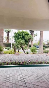 POV: road trip to Palm Springs with Her Traveling Book Club in the 2025 Nissan Rogue. Nissan #nissan #nissanrogue #hertravelingbookclub | Sweet P and Sky