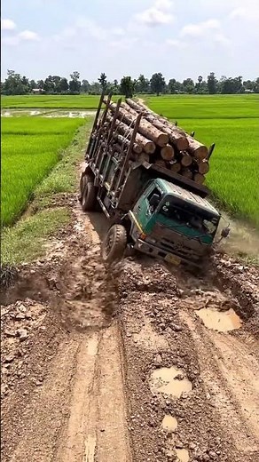 Logging Truck Gets StUCK in Deep Mud!