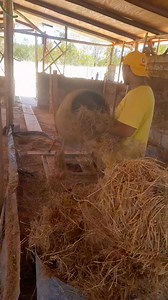 Casa de barro esmeralda rocha uruguay | Ruben Centurion