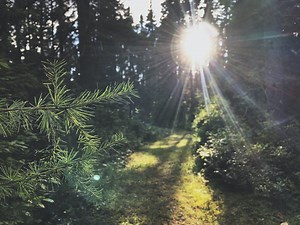 「花粉症の予防治療（初期療法）」のエビデンス | たける眼科 | 福岡市早良区 高取商店街［西新駅／藤崎駅］