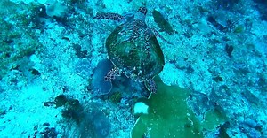 Vídeo de Tom Fisk no Pexels