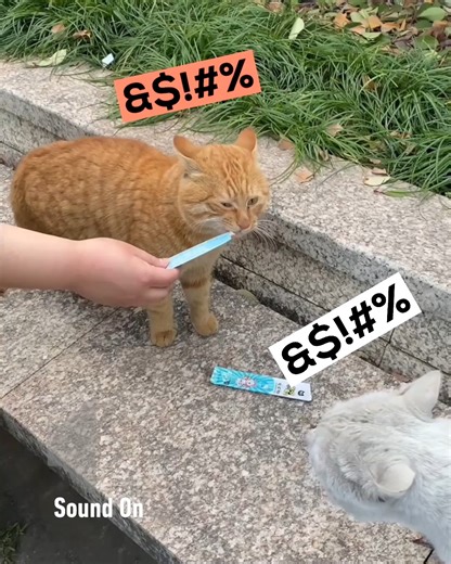 169K views · 2.4K reactions | this is such an intricated scam to get treats | 9GAG | Facebook