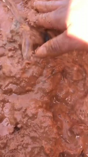 swordculture on TikTok