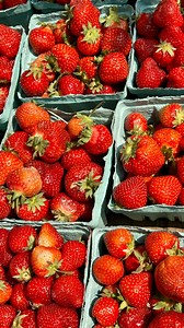 chive blossom butter🧈🌸 follow @legallyhealthyblonde for recipes✨ | Legally Healthy Blonde