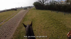 3.6K views · 54 reactions | A ride with... 2014 Grand National hero, Pineau de Re ❤️ | Aintree Racecourse | Facebook