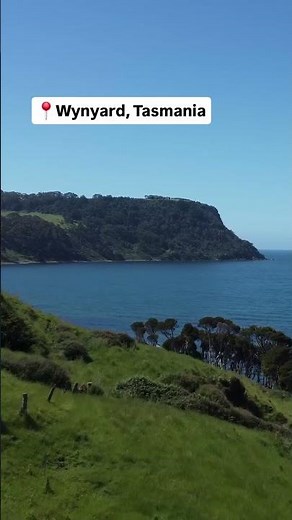 Tasmania’s North West Coast: The Most Underrated Spots! 🌊 Wynyard, Table Cape & Fossil Bluff #Shorts