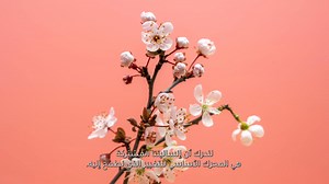 Dubai Health Authority on Reels