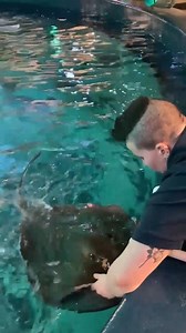 3.9K views · 323 reactions | What a difference a year makes! Last...